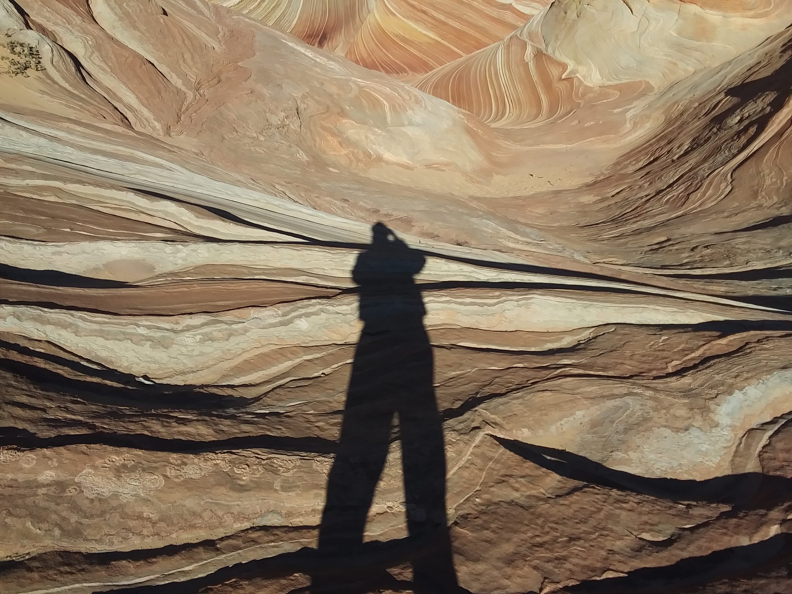 The Wave: Coyote Buttes North, BLM Special Management Area Utah/Arizona