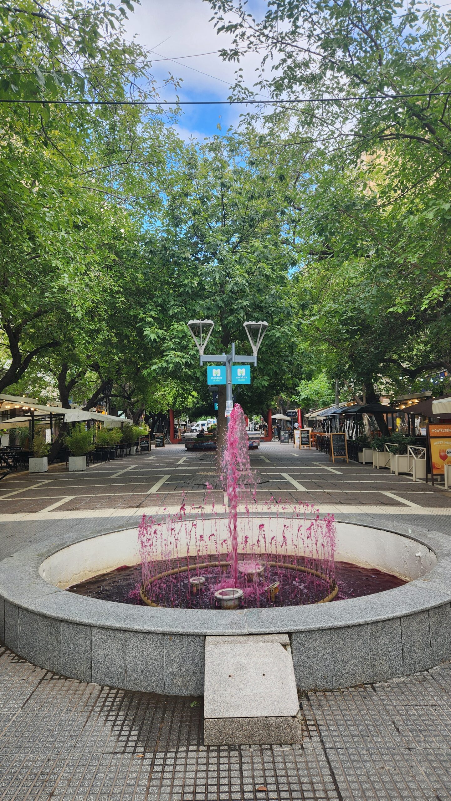 Quick Visit to Mendoza, Argentina…..Wine Time😊